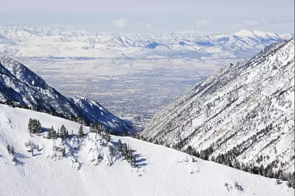 Salt Lake Valley and fresh powder tracks at Alta