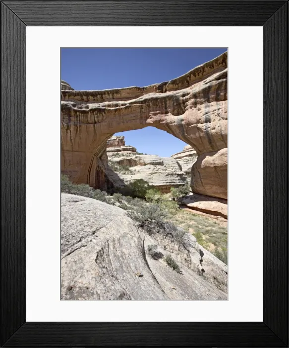 Framed Print : 27142_work Framed Print : 27142_work