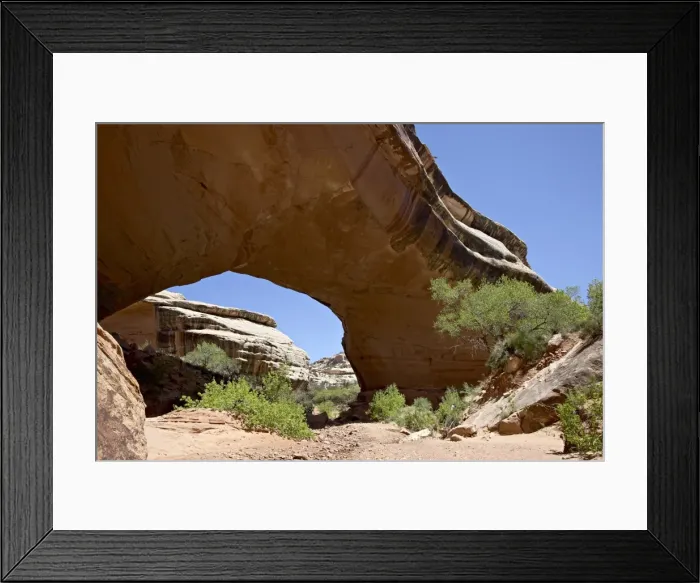 Framed Print : 27146_work Framed Print : 27146_work