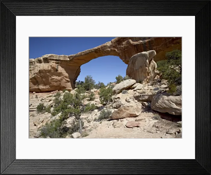 Framed Print : 27138_work Framed Print : 27138_work
