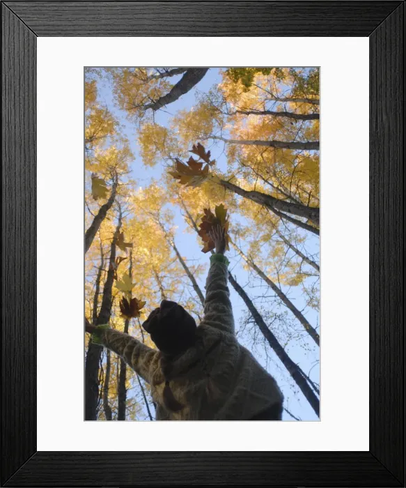 Framed Print : Girl throws leaves in the air to celebrate autumn Framed Print : Girl throws leaves in the air to celebrate autumn