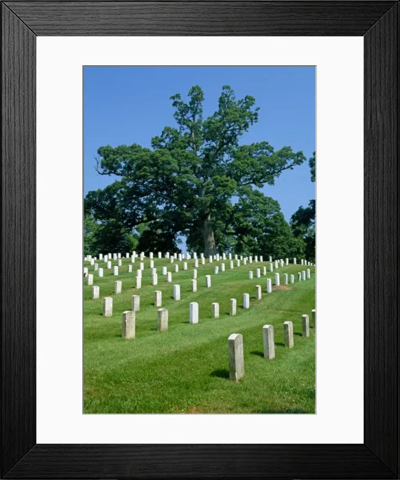 Framed Print : Rows of headstones on graves in the Arlington Cemetery Framed Print : Rows of headstones on graves in the Arlington Cemetery