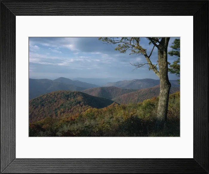 Framed Print : Hills near Loft Mountain in autumn in the Shenandoah National Park