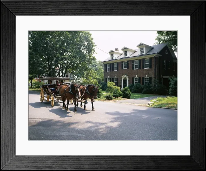 Framed Print : Horse and carriage in Lee Avenue Framed Print : Horse and carriage in Lee Avenue
