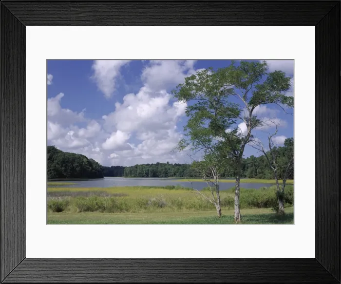 Framed Print : Indian Field Creek Framed Print : Indian Field Creek