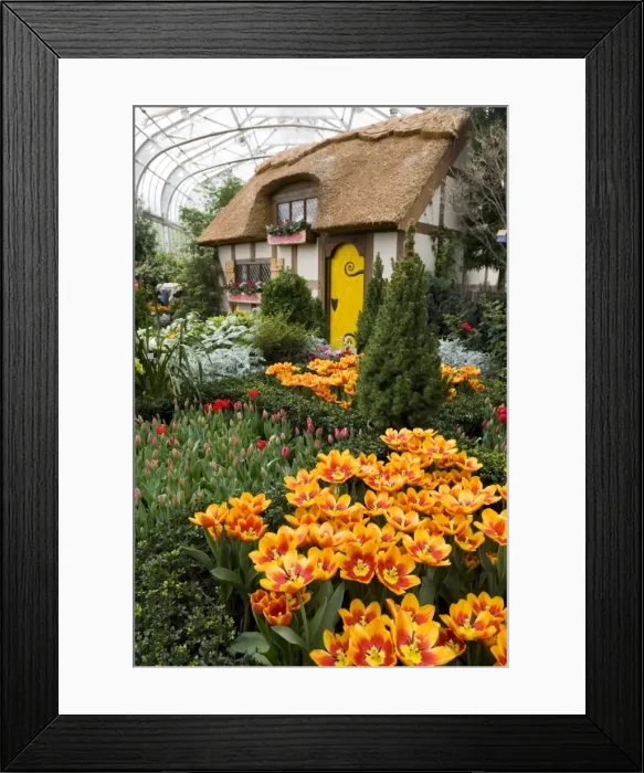 Framed Print : mcs0122. Lewis Ginter Botanical Garden, Richmond Framed Print : mcs0122. Lewis Ginter Botanical Garden, Richmond