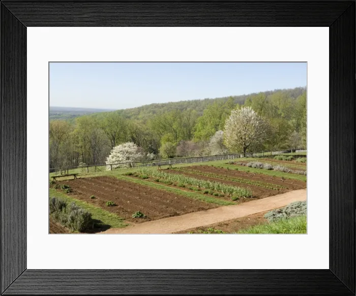 Framed Print : mcs0130. Thomas Jeffersons Monticello, Virginia, United States of America, North America Framed Print : mcs0130. Thomas Jeffersons Monticello, Virginia, United States of America, North America