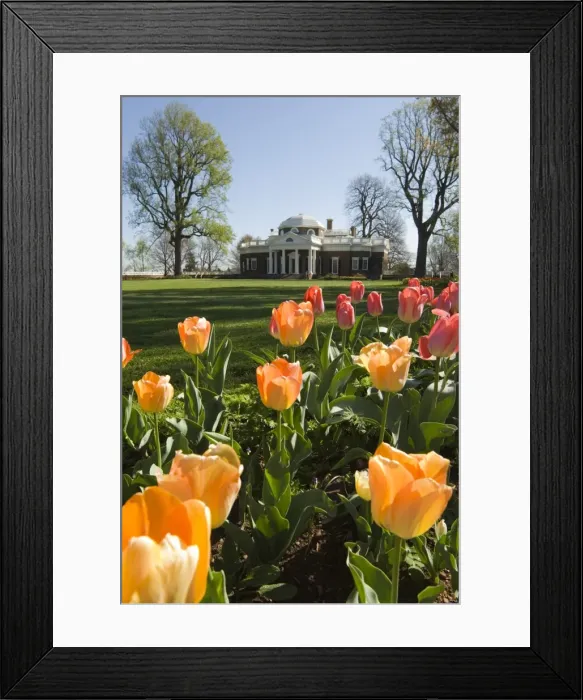 Framed Print : mcs0131. Thomas Jeffersons Monticello, UNESCO World Heritage Site Framed Print : mcs0131. Thomas Jeffersons Monticello, UNESCO World Heritage Site