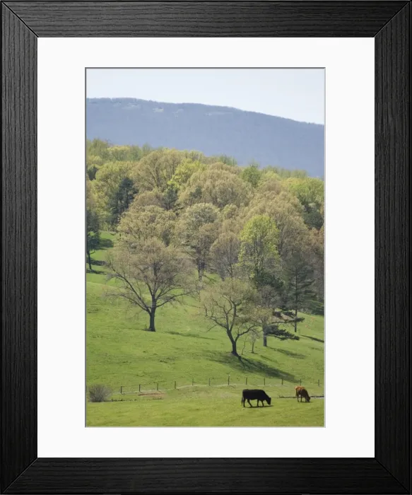 Framed Print : mcs0144. Blue Ridge Farm, Virginia Historic Landmark Framed Print : mcs0144. Blue Ridge Farm, Virginia Historic Landmark