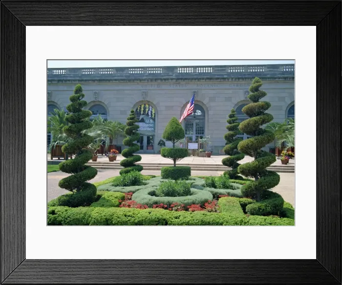 Framed Print : Topiary in the United States Botanic Gardens in Washington D Framed Print : Topiary in the United States Botanic Gardens in Washington D
