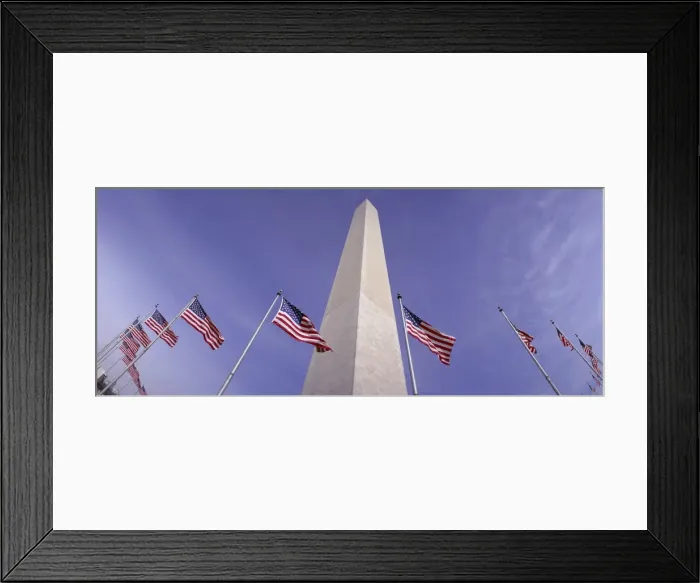 Framed Print : American flags and the Washington Monument, Washington D Framed Print : American flags and the Washington Monument, Washington D