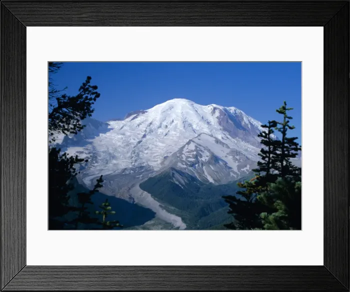 Framed Print : Mount Rainier Framed Print : Mount Rainier