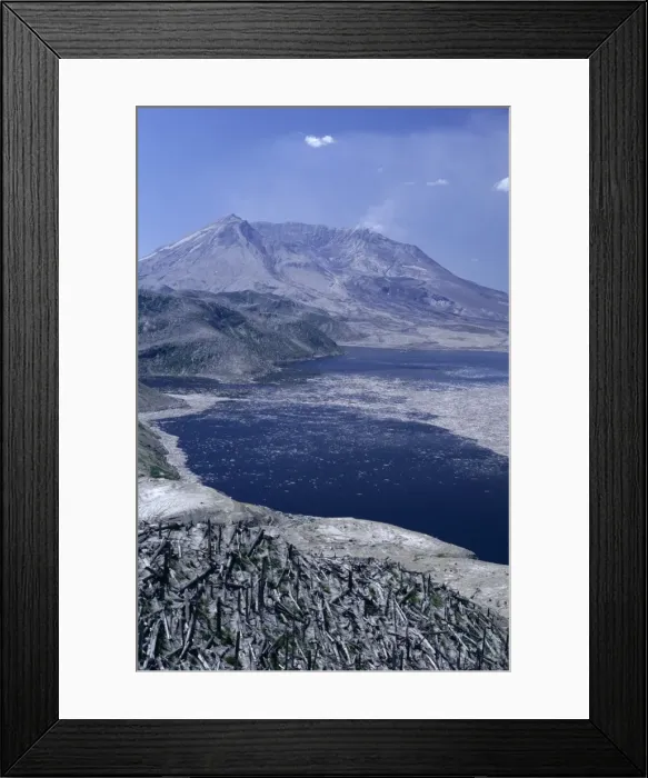 Framed Print : Blast area of 1980 eruption with destroyed forest Framed Print : Blast area of 1980 eruption with destroyed forest
