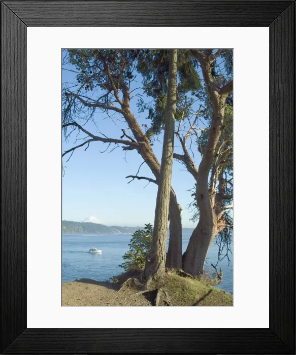 Framed Print : Gig Harbour Framed Print : Gig Harbour