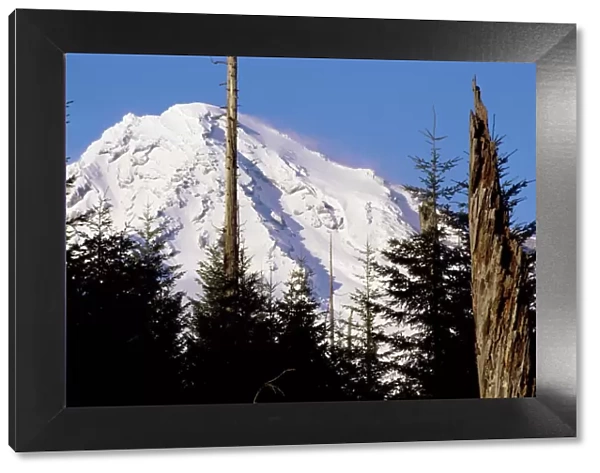 Mount Rainier, Washington State, United States of America (U