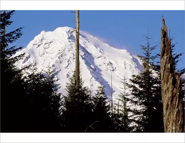 Mount Rainier, Washington State, United States of America (U