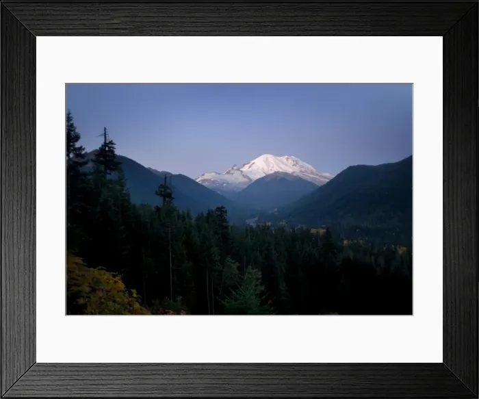 Framed Print : Mt. Rainier at dawn Framed Print : Mt. Rainier at dawn