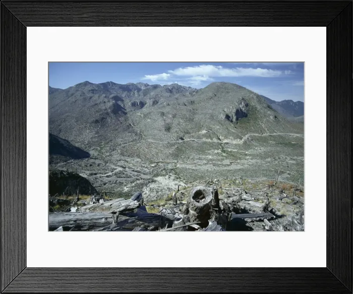 Framed Print : Part of the 150 square miles of forest north of Mount St
