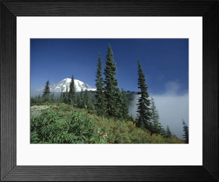Framed Print : View of the icy peak of 4394m volcano Mount Rainier