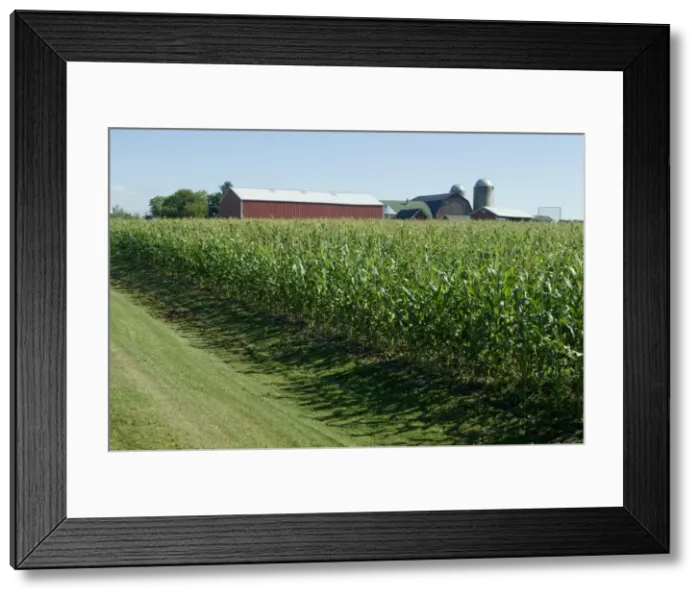 Framed Print : Farm, North Wood Park Framed Print : Farm, North Wood Park