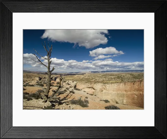 Framed Print : SP021994. Bighorn Canyon National Recreation Area Framed Print : SP021994. Bighorn Canyon National Recreation Area