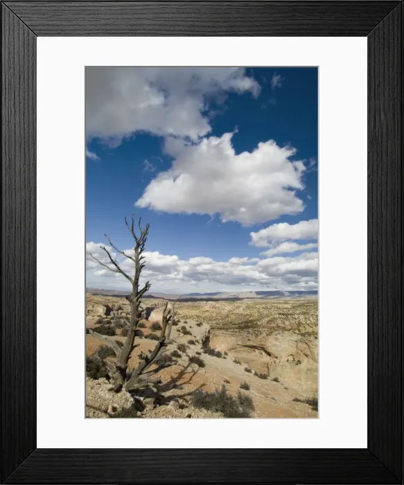 Framed Print : SP021995. Bighorn Canyon National Recreation Area Framed Print : SP021995. Bighorn Canyon National Recreation Area
