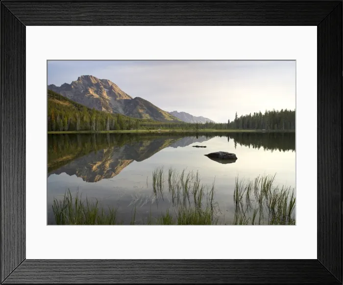 Framed Print : Mount Moran reflected in String Lake Framed Print : Mount Moran reflected in String Lake