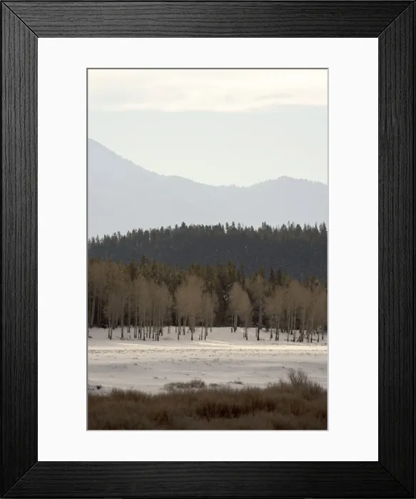 Framed Print : Stacked forest Framed Print : Stacked forest