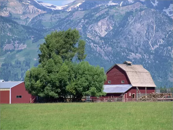 Farm buildings with mountain slopes behind