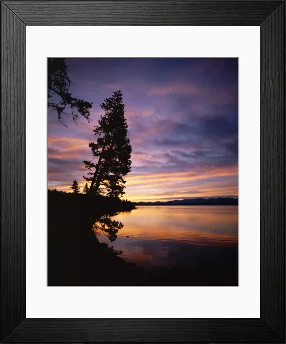Framed Print : Sunrise, Yellowstone Lake Framed Print : Sunrise, Yellowstone Lake