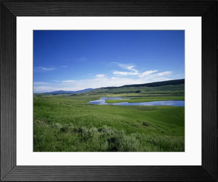 Framed Print : The Hayden Valley Framed Print : The Hayden Valley