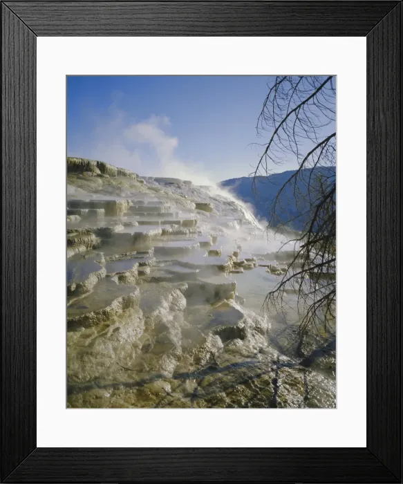 Framed Print : Canary Springs Framed Print : Canary Springs