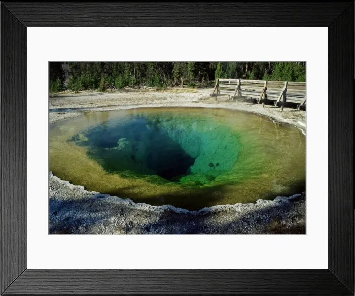 Framed Print : Morning Glory spring Framed Print : Morning Glory spring
