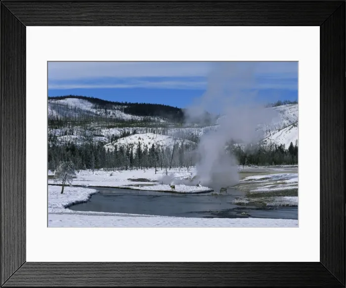 Framed Print : Geysers in Yellowstone National Park Framed Print : Geysers in Yellowstone National Park