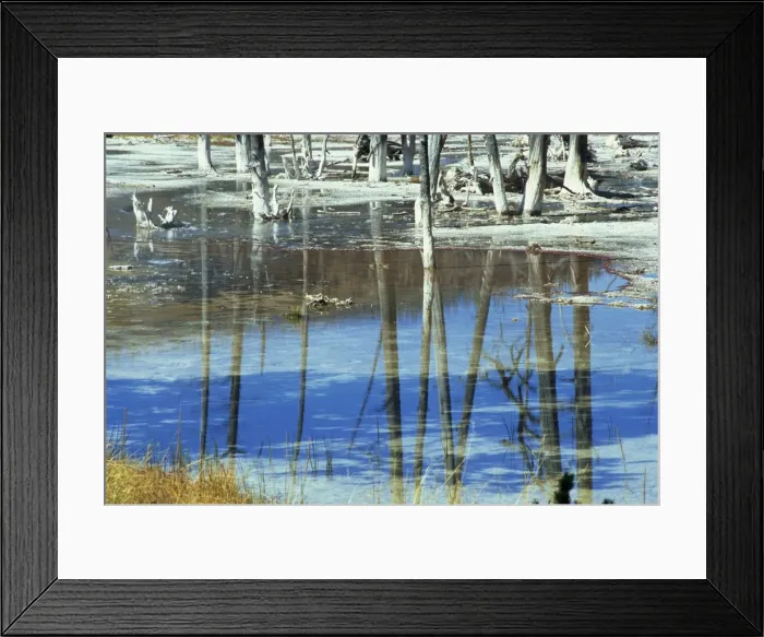 Framed Print : Black Sand Basin, Yellowstone National Park Framed Print : Black Sand Basin, Yellowstone National Park