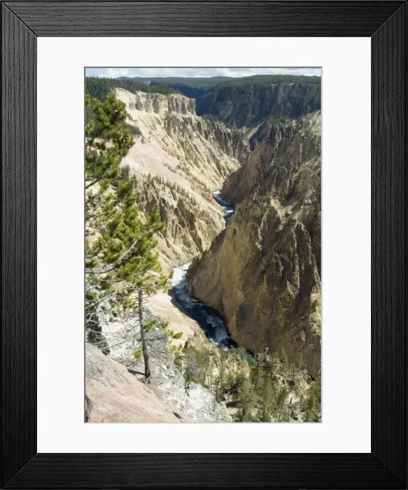 Framed Print : Yellowstone Canyon Framed Print : Yellowstone Canyon