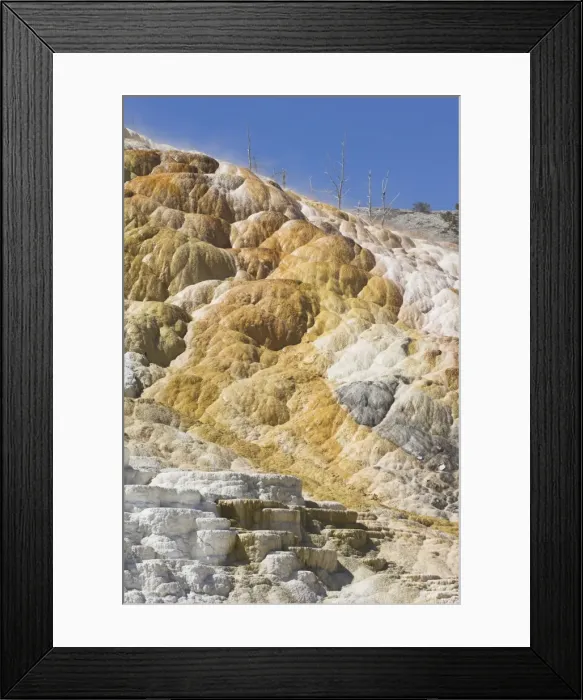 Framed Print : D2x070604040 Framed Print : D2x070604040