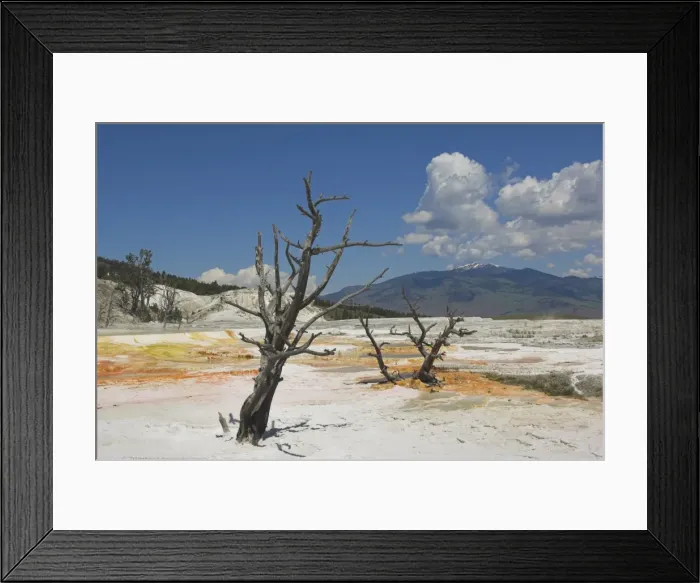 Framed Print : D2x070604069 Framed Print : D2x070604069