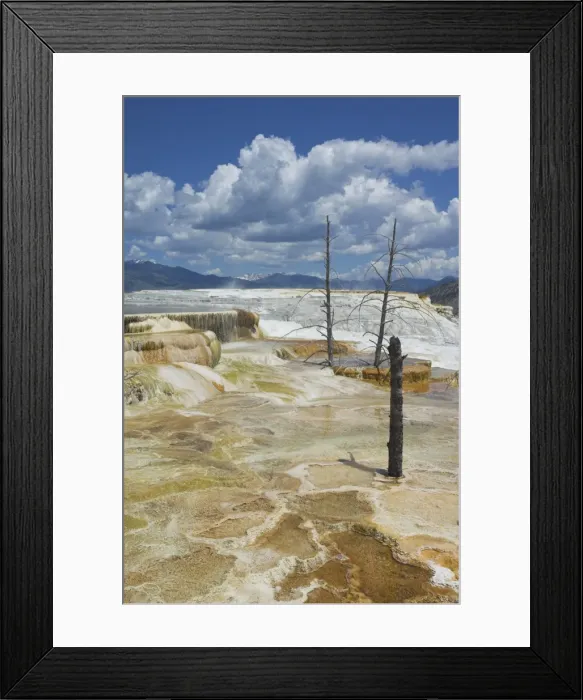 Framed Print : D2x070604097 Framed Print : D2x070604097