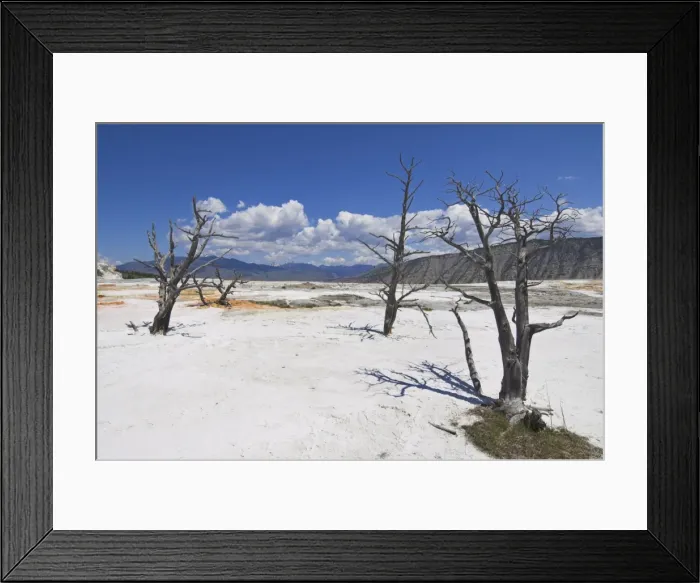 Framed Print : D2x070604219 Framed Print : D2x070604219