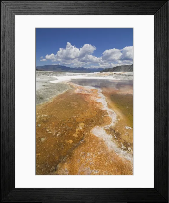 Framed Print : D2x070604224 Framed Print : D2x070604224