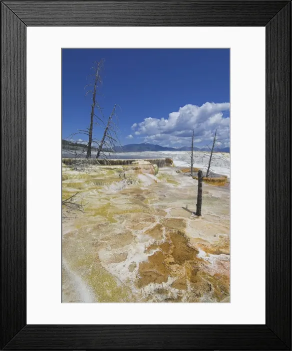 Framed Print : D2x070604237 Framed Print : D2x070604237