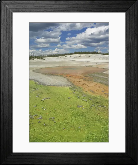 Framed Print : D2x070604145 Framed Print : D2x070604145