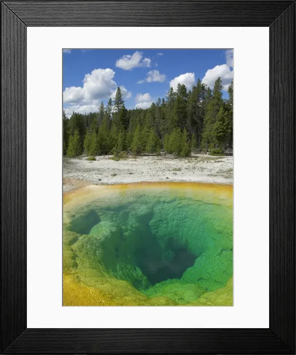 Framed Print : D2x070609239 Framed Print : D2x070609239