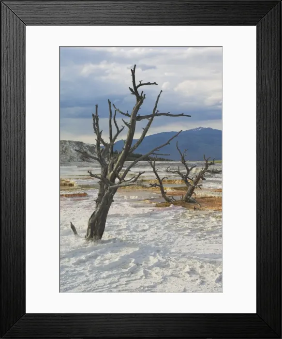 Framed Print : D2x070606095 Framed Print : D2x070606095