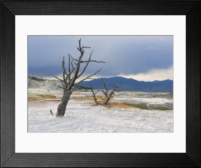 Framed Print : D2x070606105 Framed Print : D2x070606105