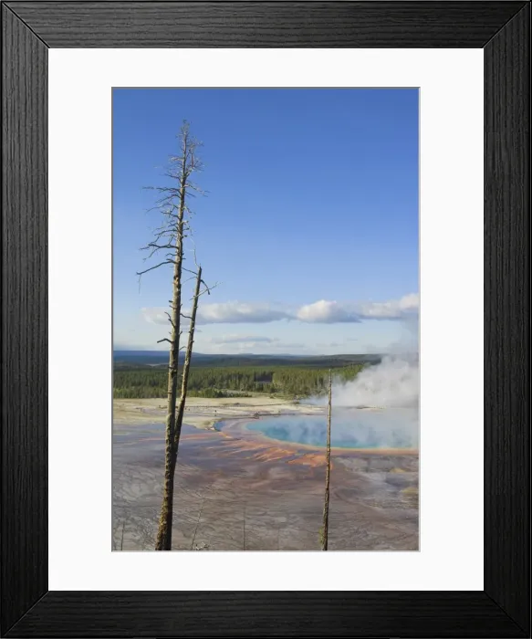 Framed Print : D2x070607119 Framed Print : D2x070607119