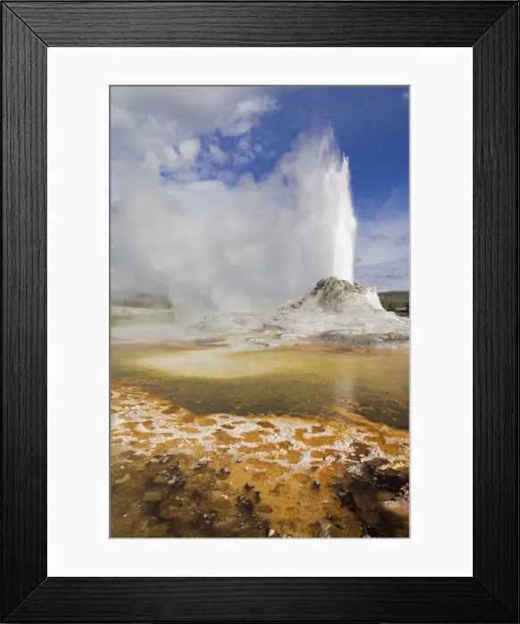 Framed Print : D2x070608269 Framed Print : D2x070608269