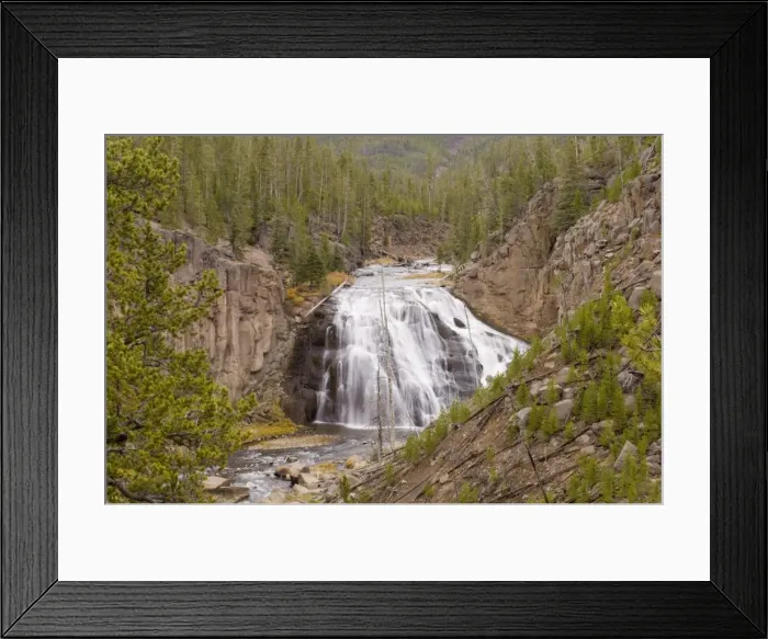 Framed Print : SP022272. Gibbon Falls, Yellowstone National Park Framed Print : SP022272. Gibbon Falls, Yellowstone National Park