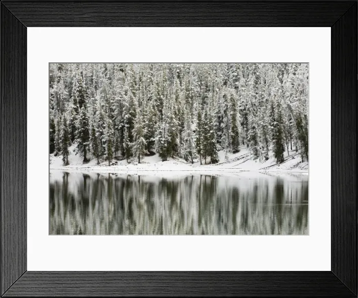 Framed Print : SP022321. Yellowstone River in winter, Yellowstone National Park Framed Print : SP022321. Yellowstone River in winter, Yellowstone National Park